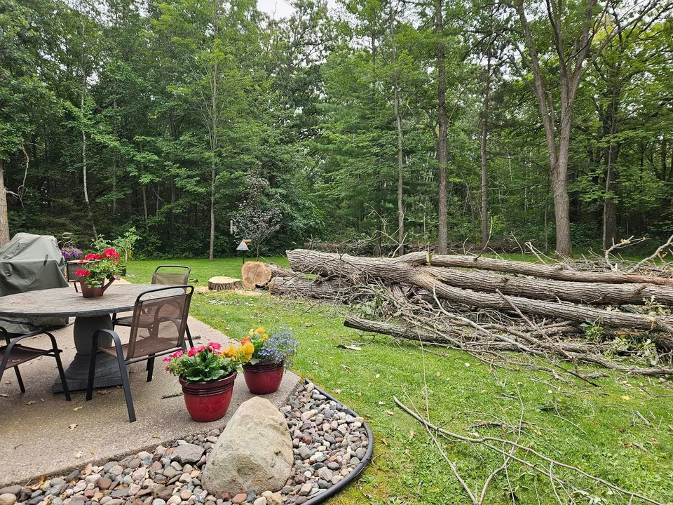 Felled tree laid out across a backyard next to a patio